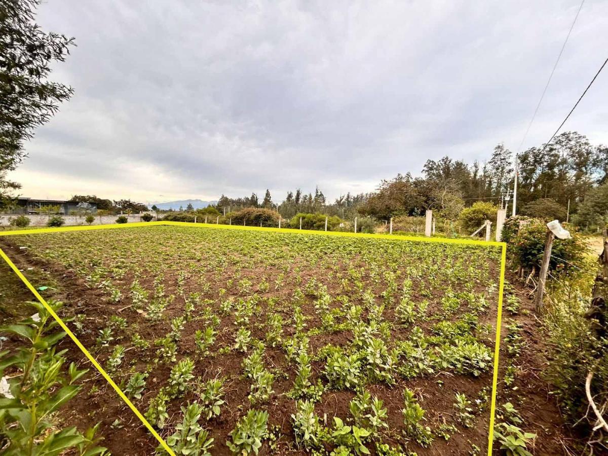 Venta Terreno 1.000 m² en Tababela – Ideal Casa o Quinta – Escritura — imagen 9