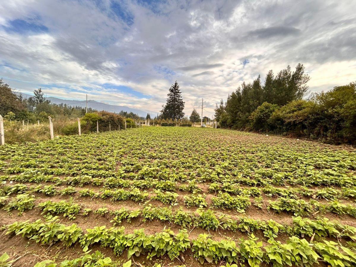 Venta Terreno 1.000 m² en Tababela – Ideal Casa o Quinta – Escritura — imagen 7