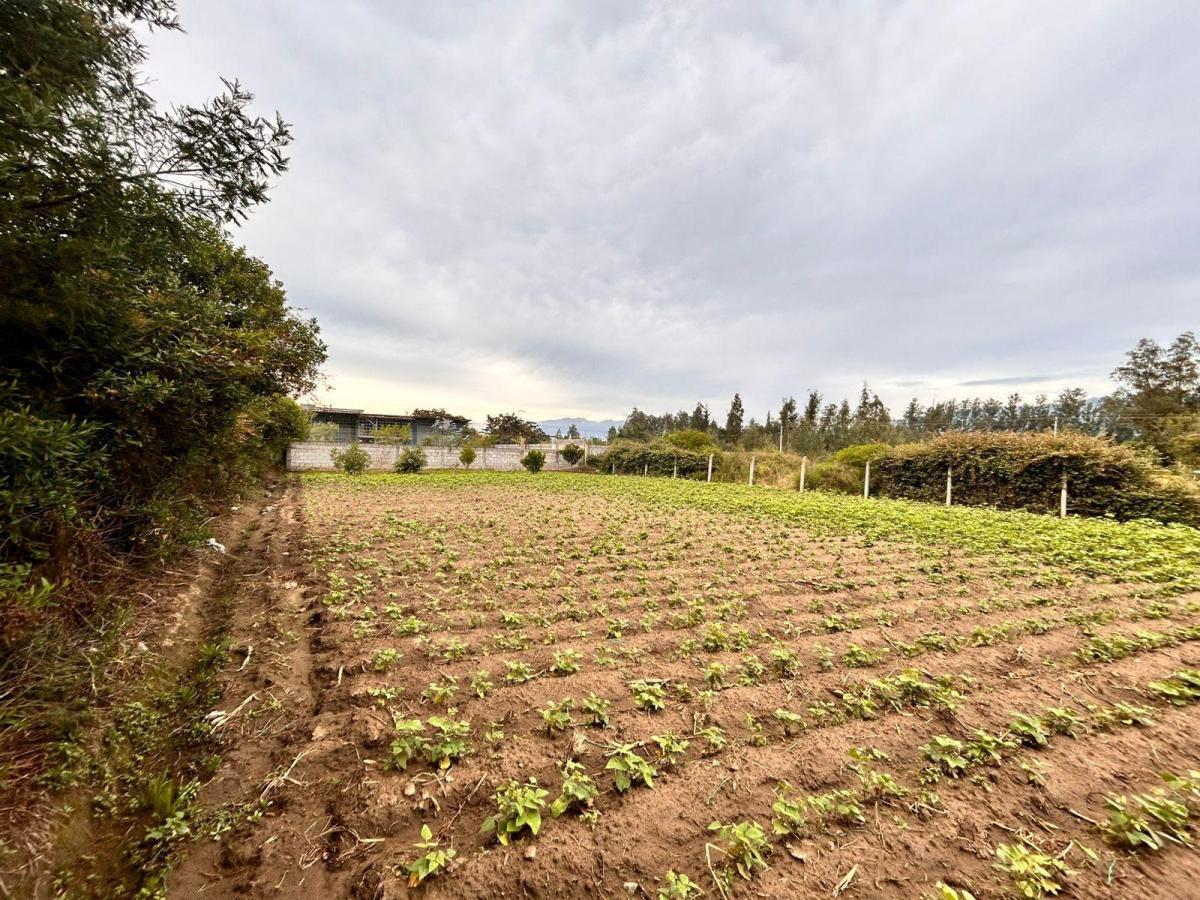 Venta Terreno 1.000 m² en Tababela – Ideal Casa o Quinta – Escritura — imagen 6