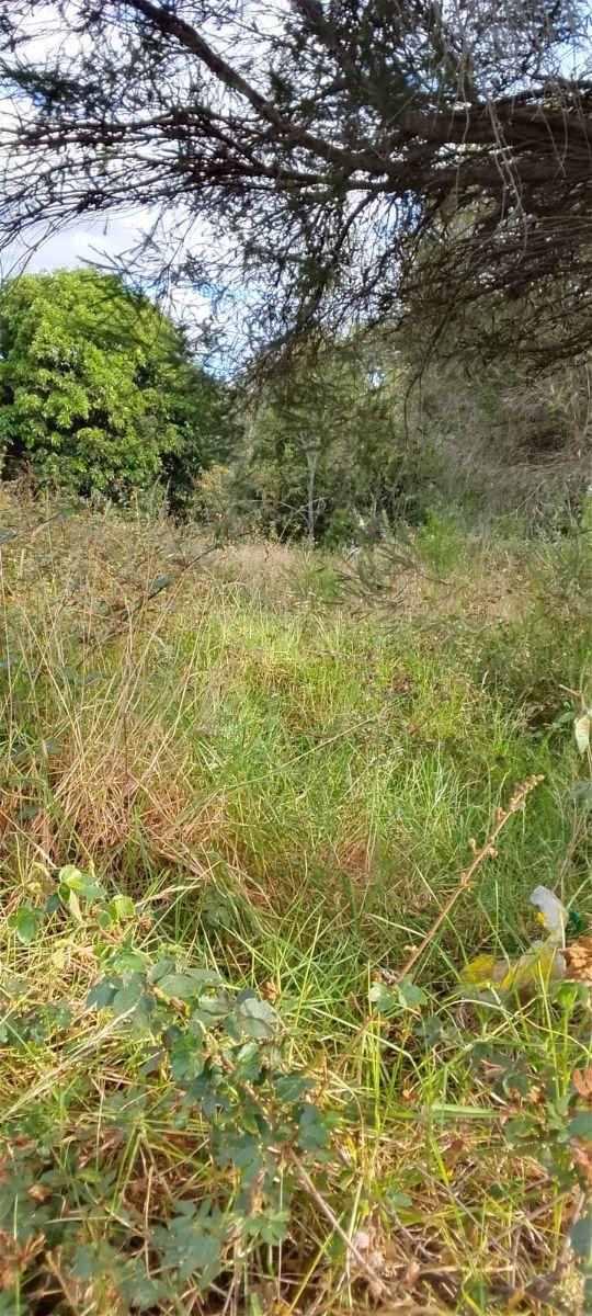Terreno en Venta – Puente 5, Autopista General Rumiñahui — imagen 10