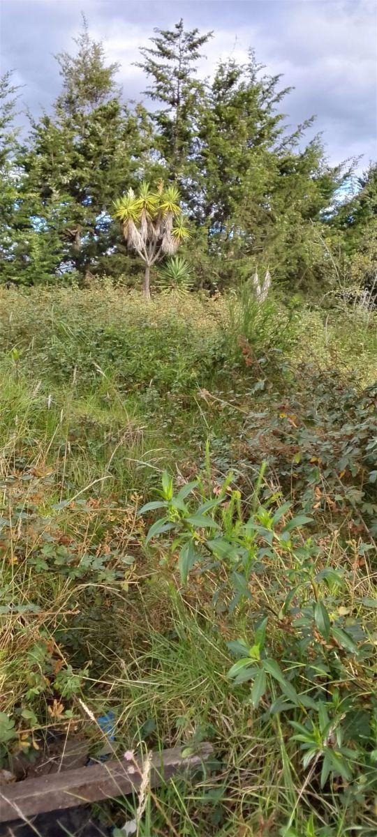 Terreno en Venta – Puente 5, Autopista General Rumiñahui — imagen 9