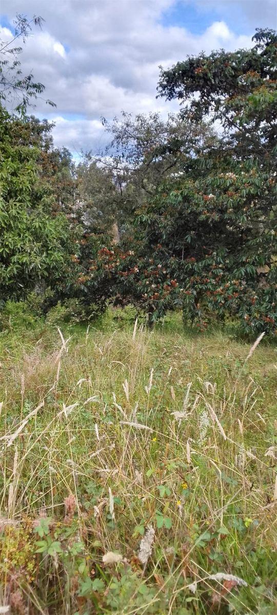 Terreno en Venta – Puente 5, Autopista General Rumiñahui — imagen 2