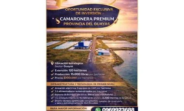 Terreno en venta en Samborondon — imagen 3