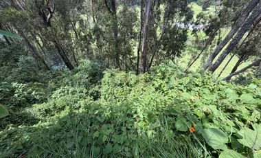 Terreno en venta en Amaguaña — imagen 1