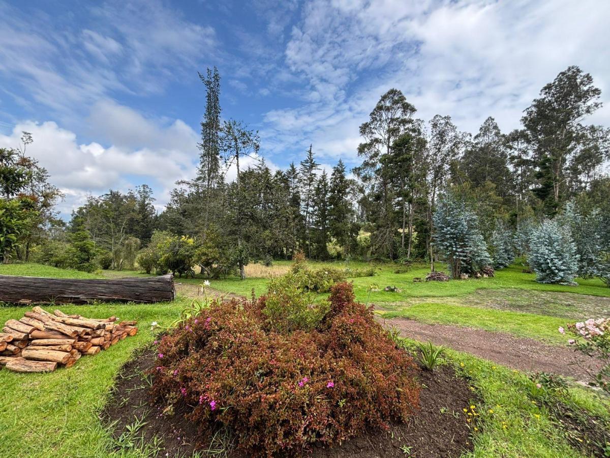 Terreno con 2 Casas de Venta en Yaruqui — imagen 9