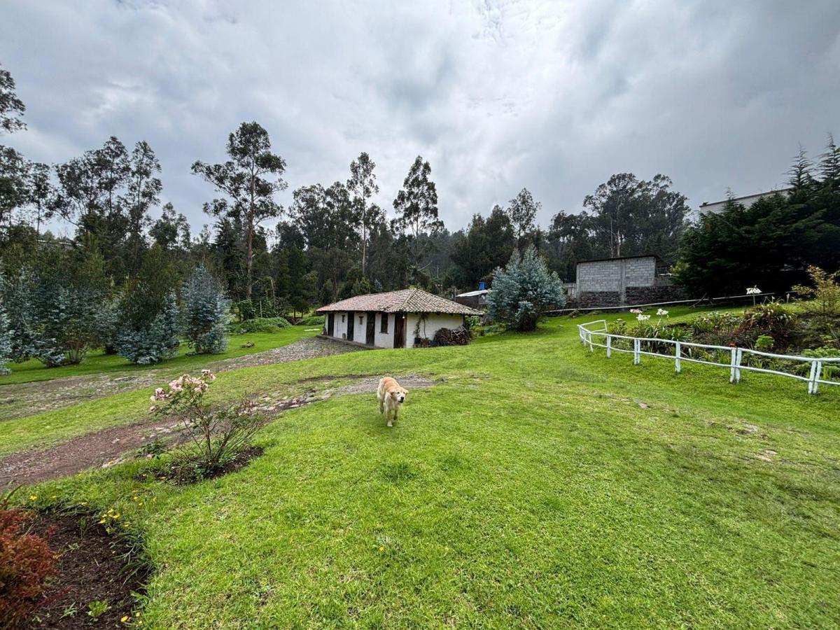 Terreno con 2 Casas de Venta en Yaruqui — imagen 8