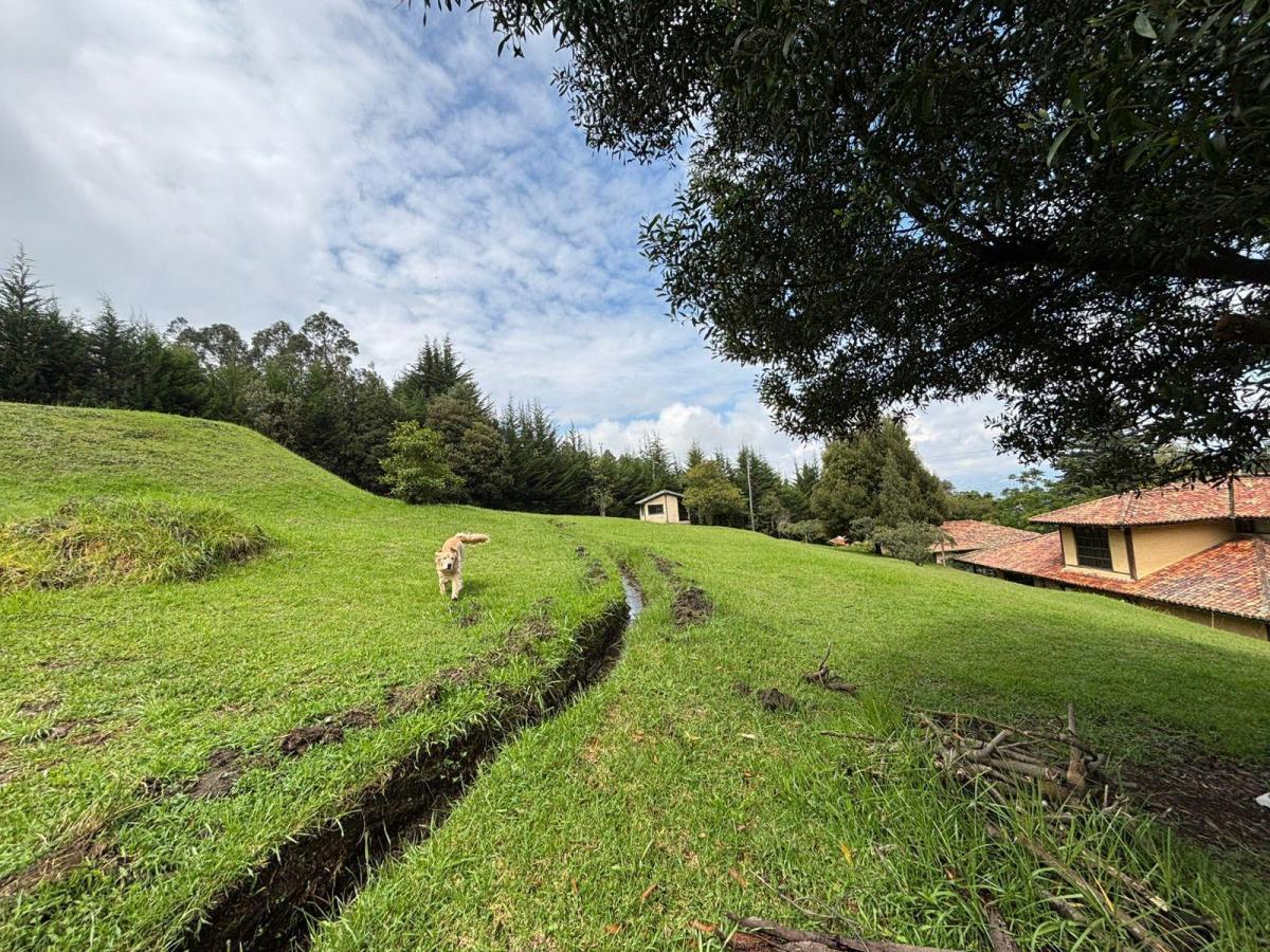 Terreno con 2 Casas de Venta en Yaruqui — imagen 7