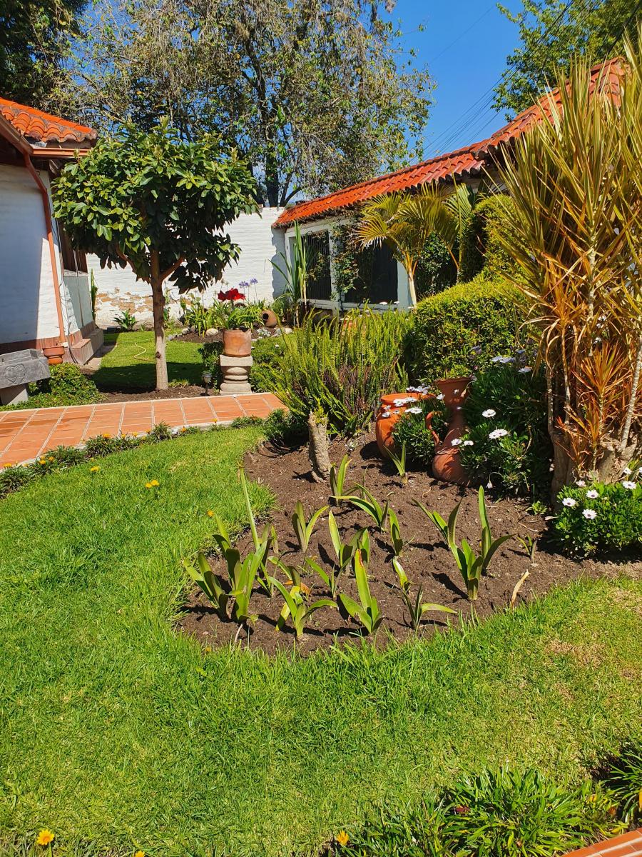 Amplia Casa con Terreno en Venta en Tumbaco, Urbanización Sector La Viña II — imagen 7