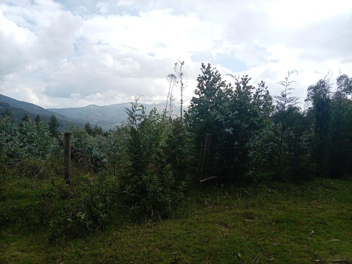 Terreno Esquinero de Venta Otavalo, Parroquia San Pablo, Imbabura — imagen 6