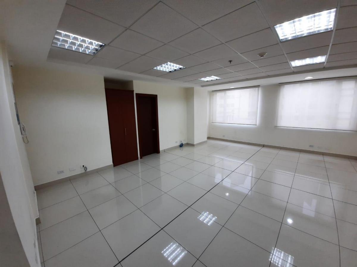 Hermosa Oficina de Venta! en Oportunidad — imagen 10