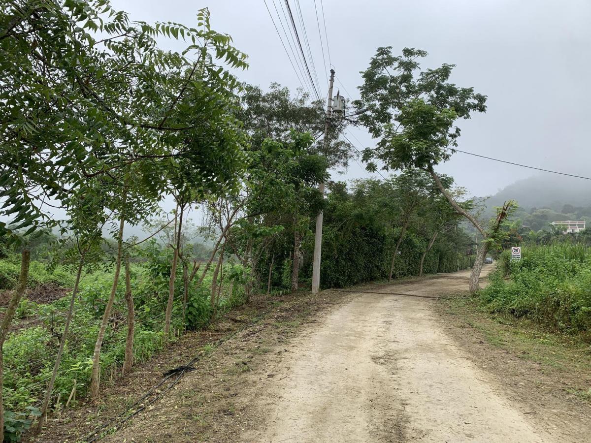 Terreno en Venta en Manglaralto Lotizacion Privada — imagen 8