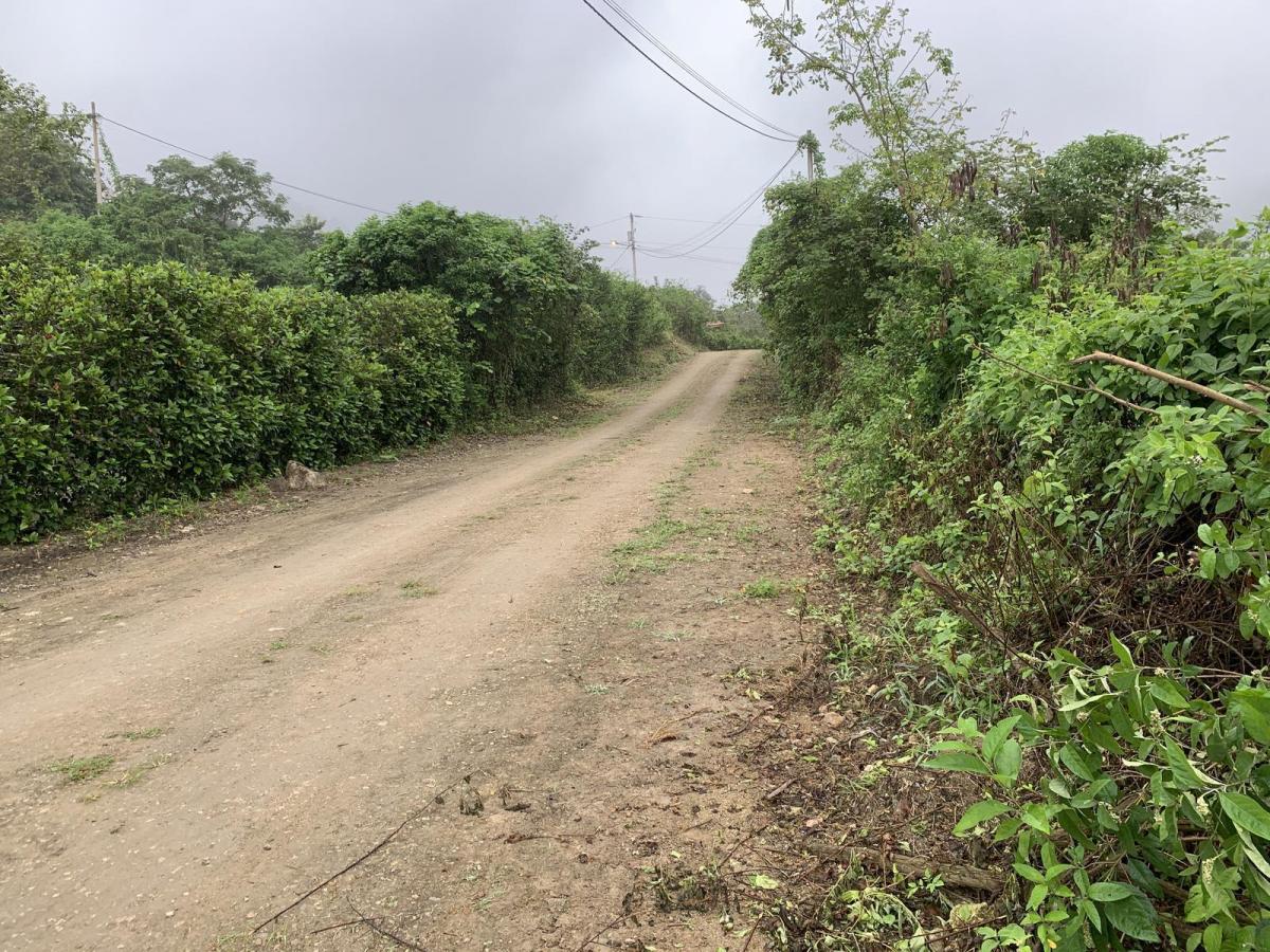 Terreno en Venta en Manglaralto Lotizacion Privada — imagen 5