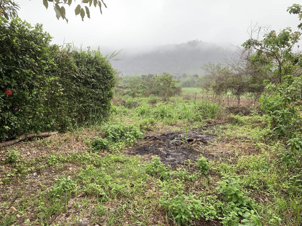 Terreno en Venta en Manglaralto Lotizacion Privada — imagen 4
