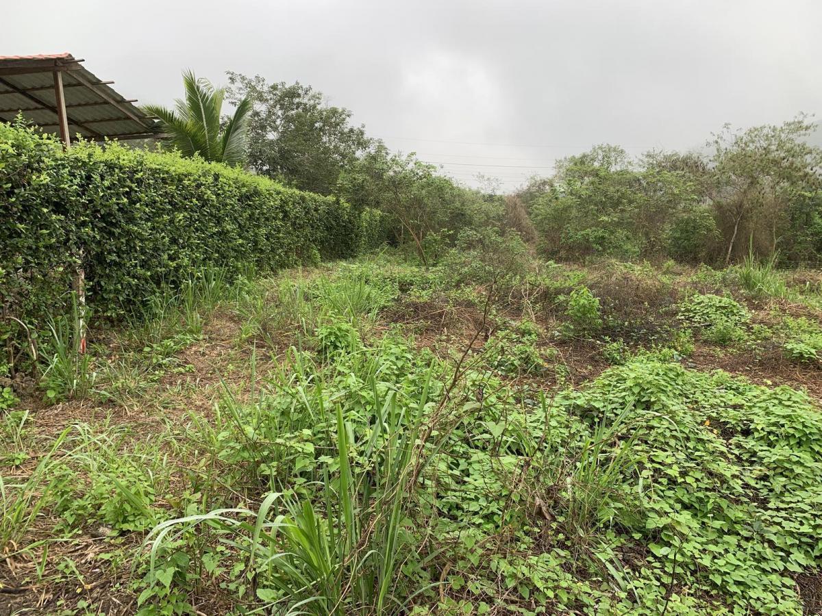 Terreno en Venta en Manglaralto Lotizacion Privada — imagen 3