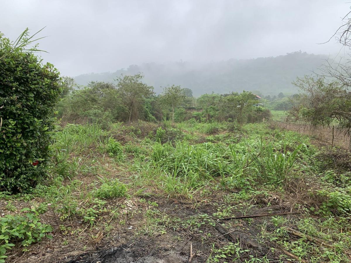 Terreno en Venta en Manglaralto Lotizacion Privada — imagen 2