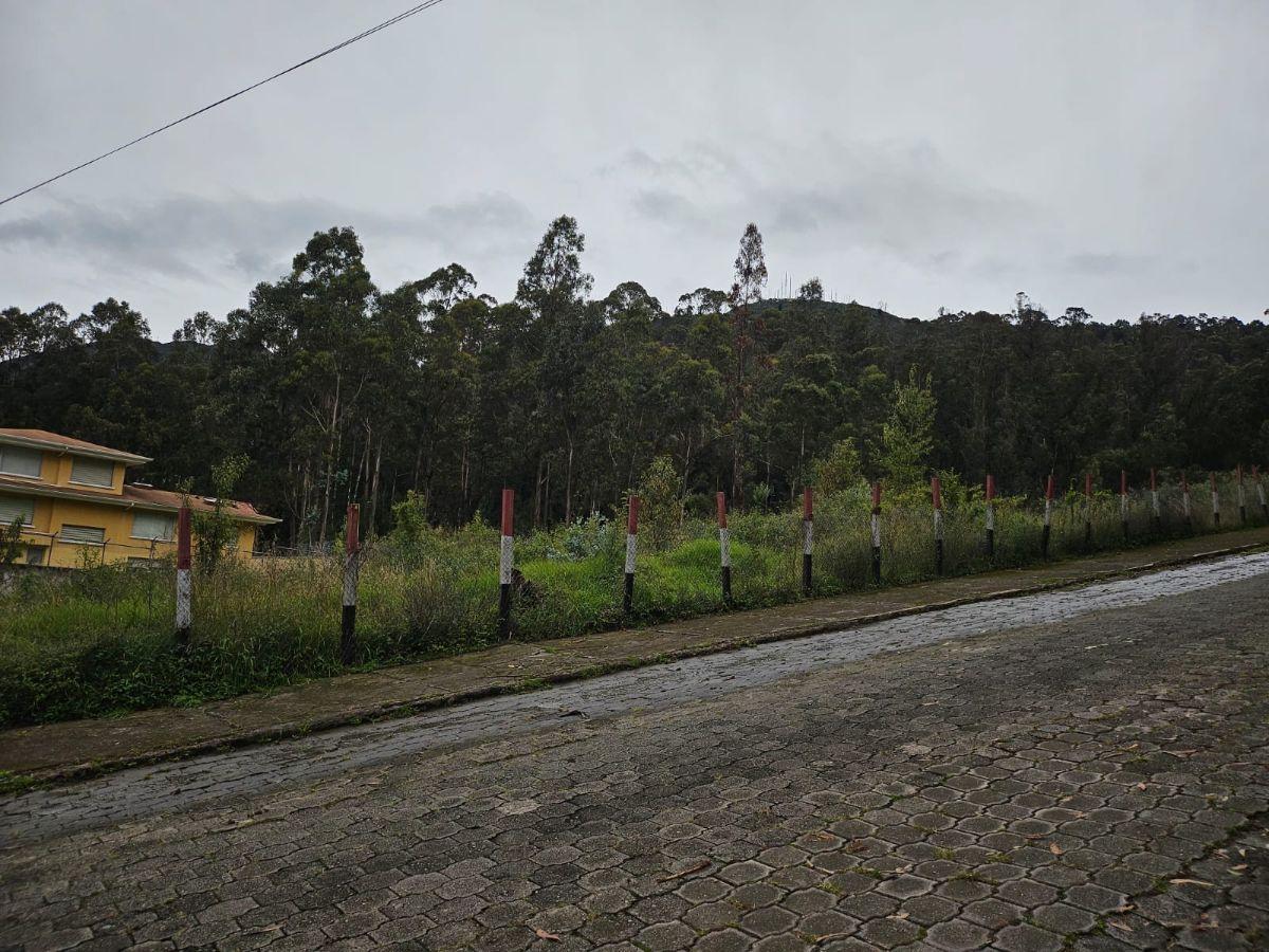 Terreno en Urbanizacion - Mariscal Sucre - Occidental — imagen 8
