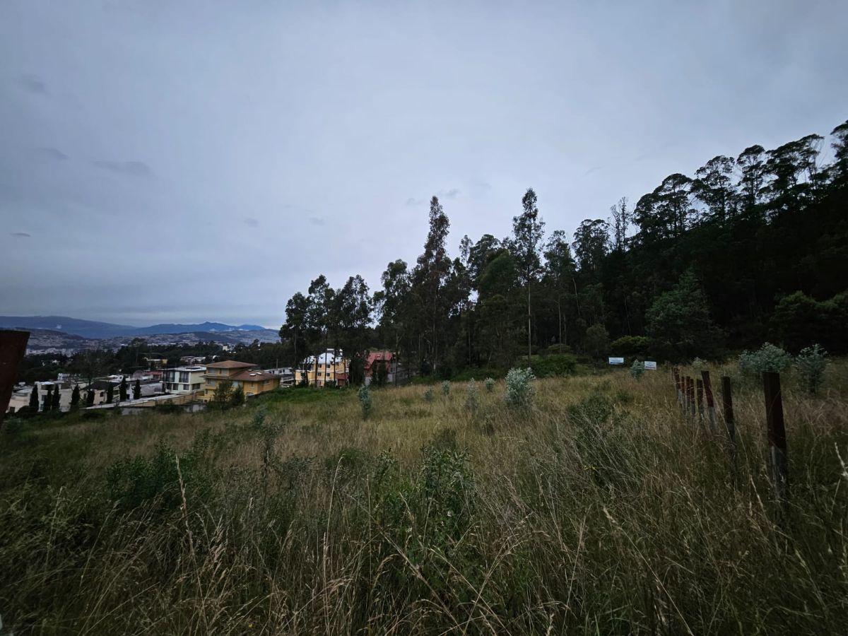 Terreno en Urbanizacion - Mariscal Sucre - Occidental — imagen 7