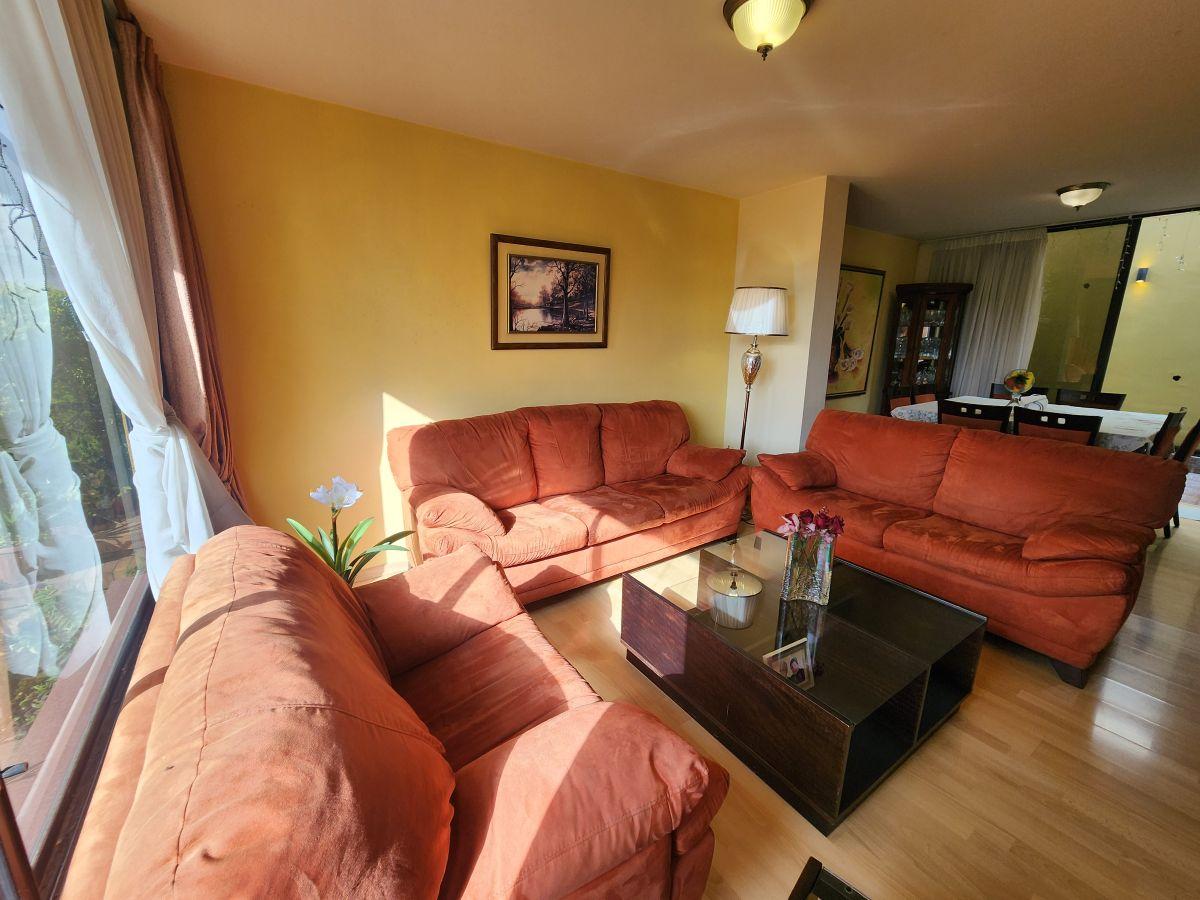 Venta Casa 4 Dorm. Carcelen 2 Terrazas 1 Patio Pergola 204 m — imagen 7
