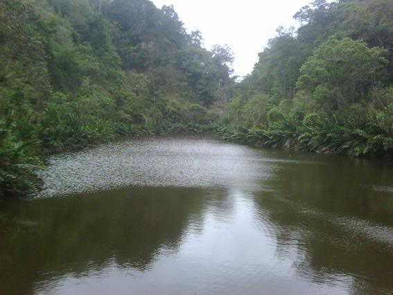 Remate Terreno Venta Manabi, Manabí — imagen 10