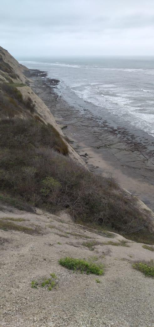 Remate Terreno Venta Manabi, Manabí — imagen 9