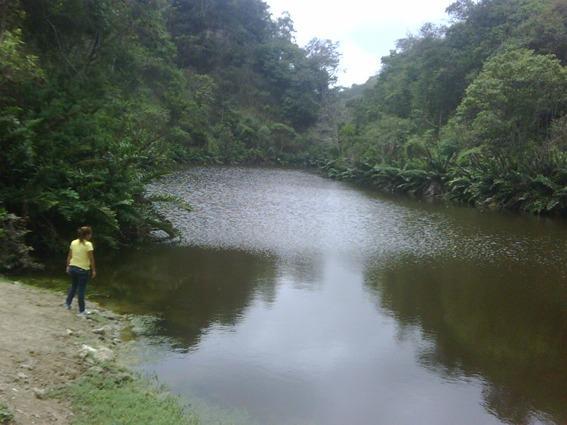 Remate Terreno Venta Manabi, Manabí — imagen 7
