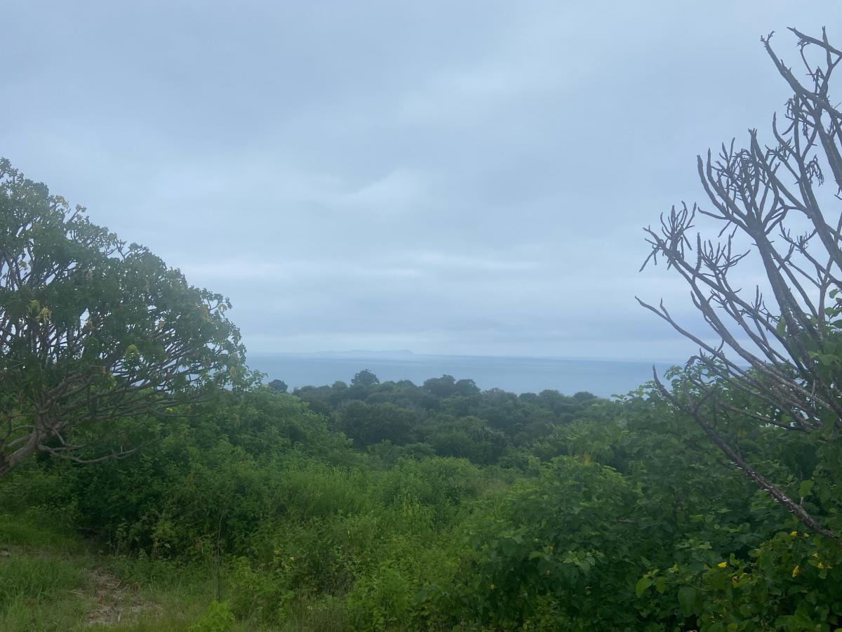 Remate Terreno Venta Manabi, Manabí — imagen 2
