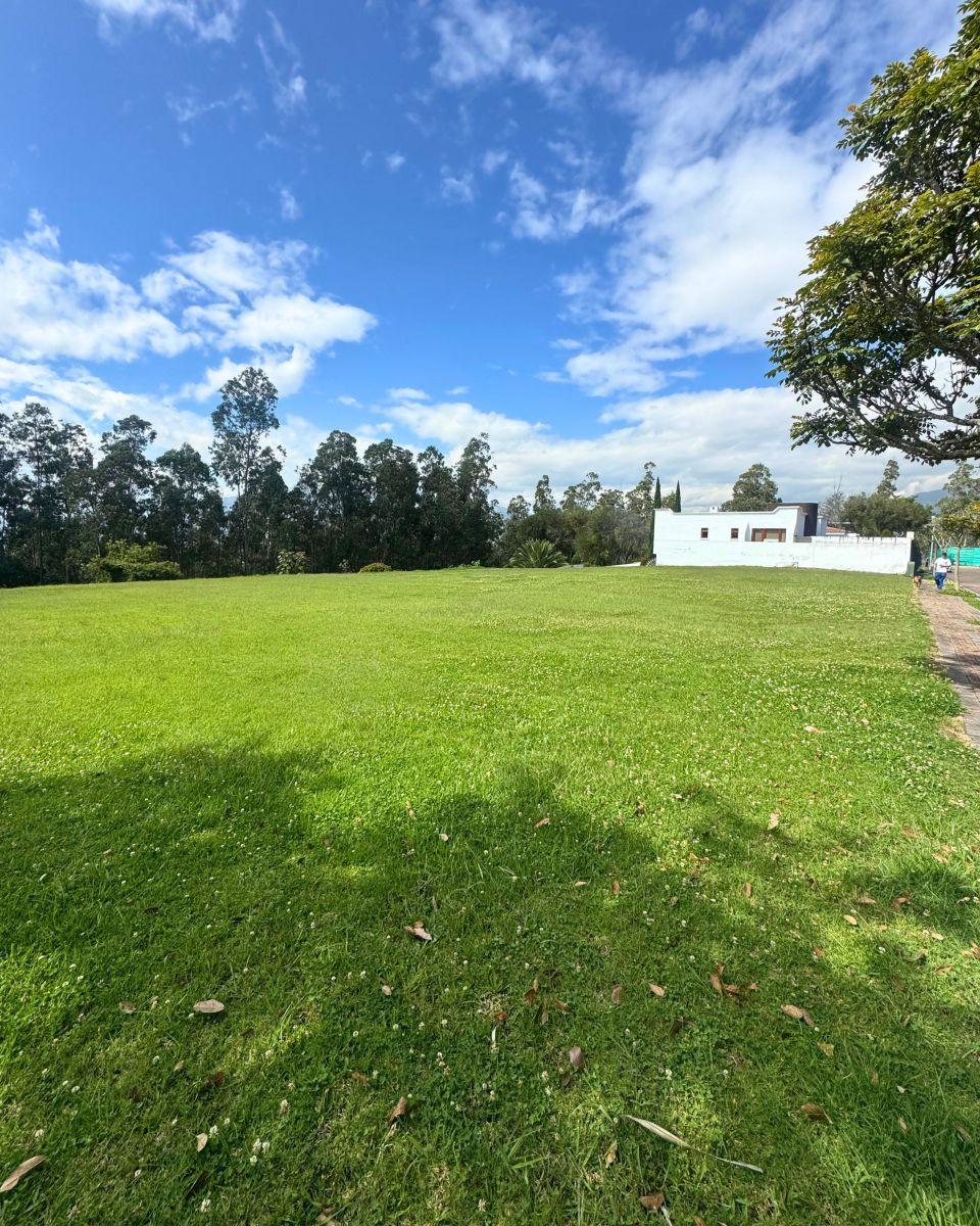 Se Vende Terreno de 1000 m² en La Urbanización del Club Rancho San Francisco — imagen 6