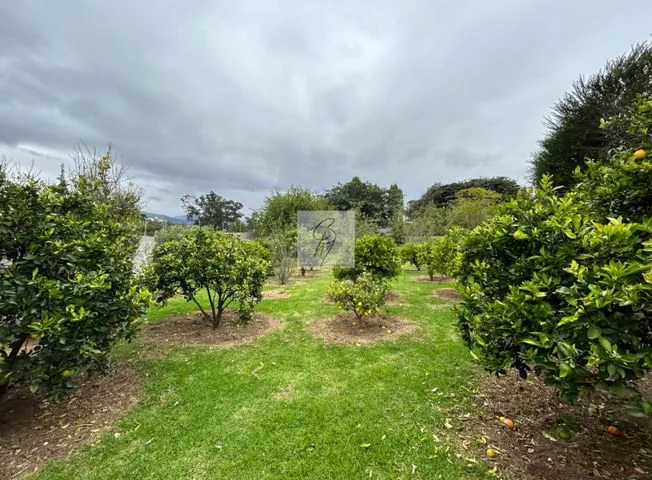 Terreno en venta en Tumbaco — imagen 3