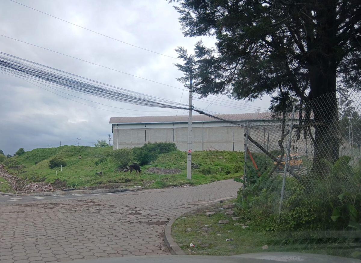 Terreno en Venta Valle de Los Chillos, Sangolqui, Via Amaguaña — imagen 10