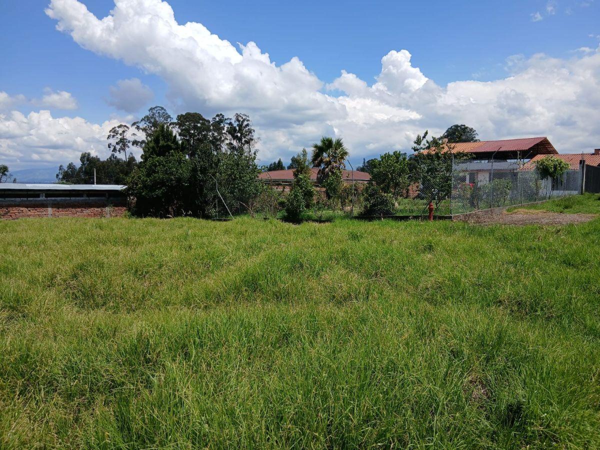 Terreno en Venta Valle de Los Chillos, Sangolqui, Via Amaguaña — imagen 6