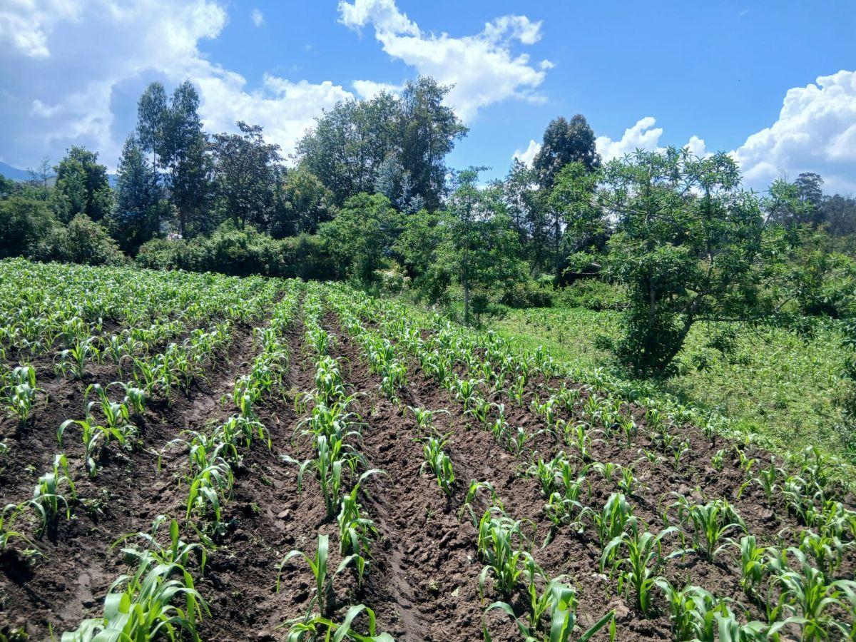 Terreno en Venta Valle de Los Chillos, Sangolqui, Via Amaguaña — imagen 2