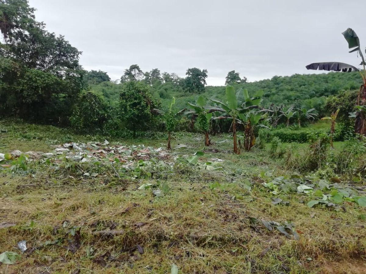 Terreno en Urbanización de 970 m² en Pedro Vicente Maldonado a 2 Horas de Quito — imagen 6