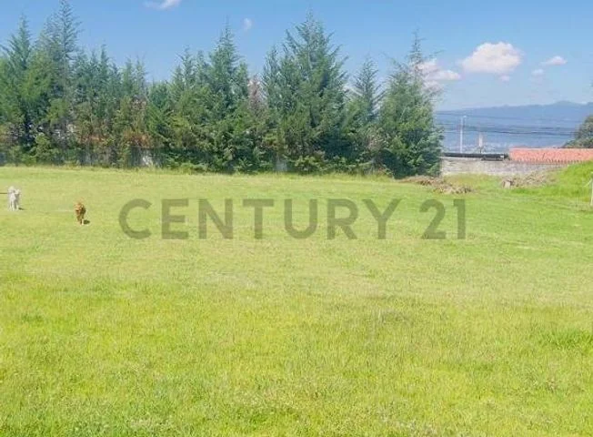 Terreno en venta en Guapulo — imagen 3