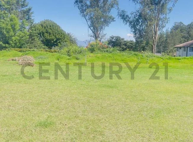 Terreno en venta en Guapulo — imagen 2