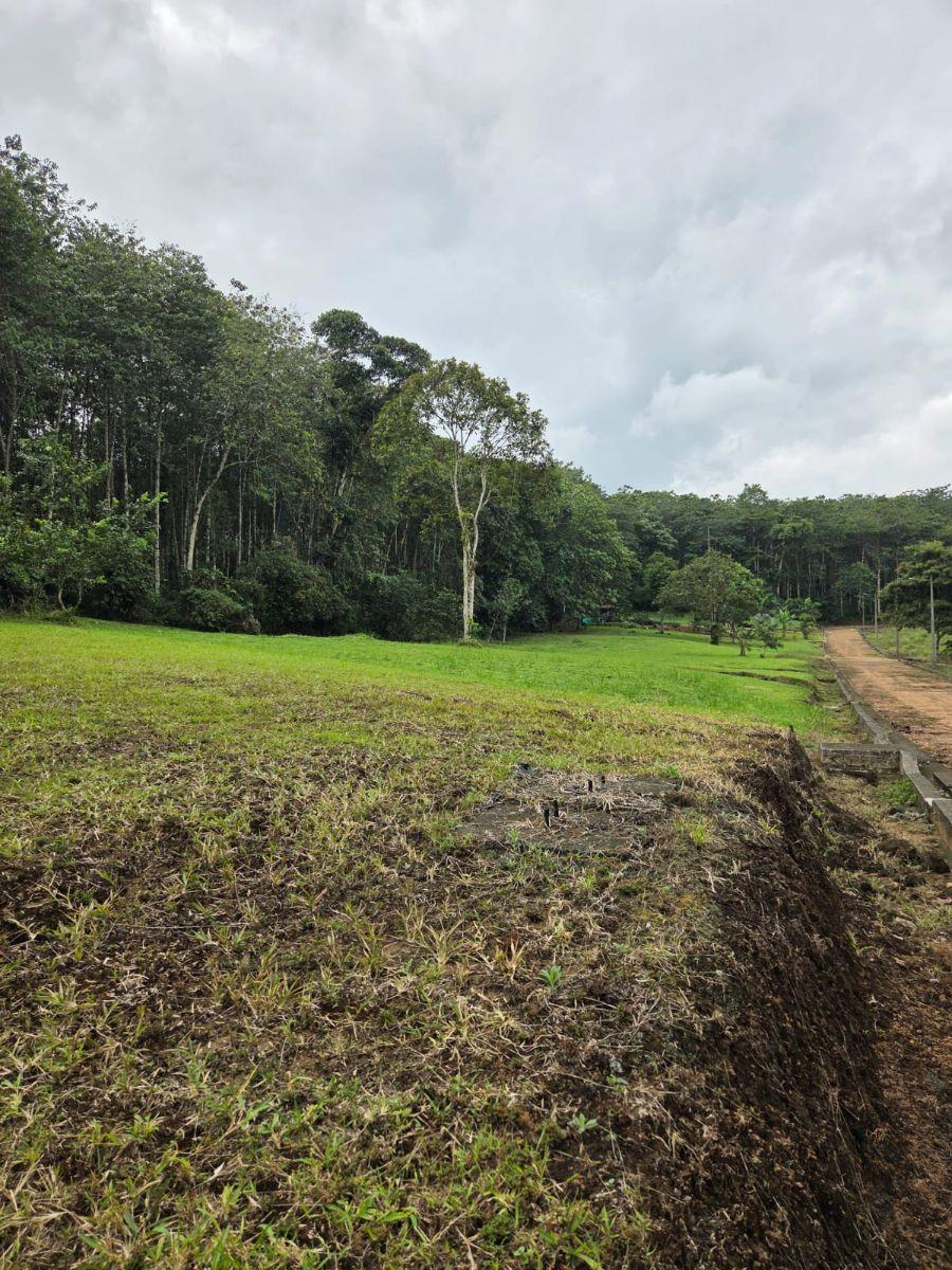 Venta 6 Lotes de Terreno Urb. Las Bromelias — imagen 10