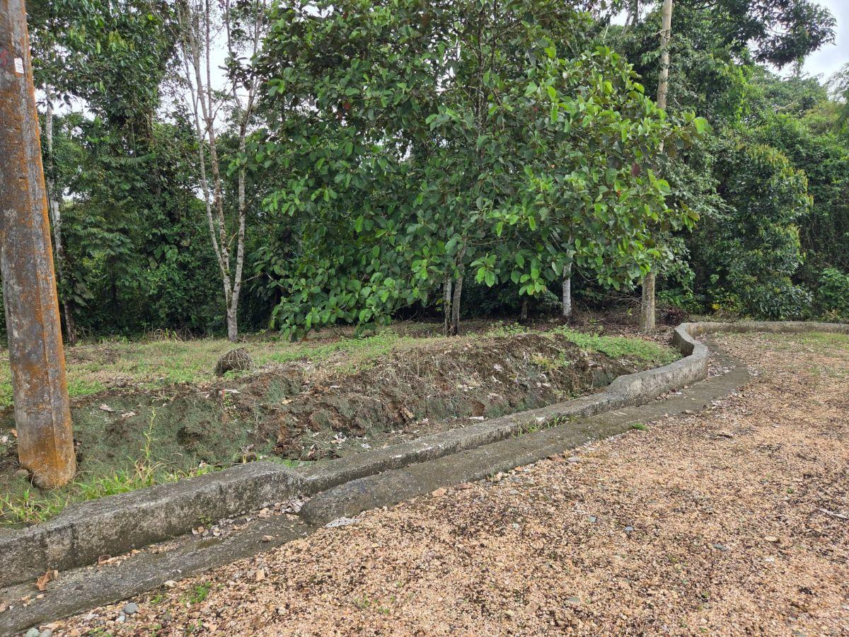 Venta 6 Lotes de Terreno Urb. Las Bromelias — imagen 9