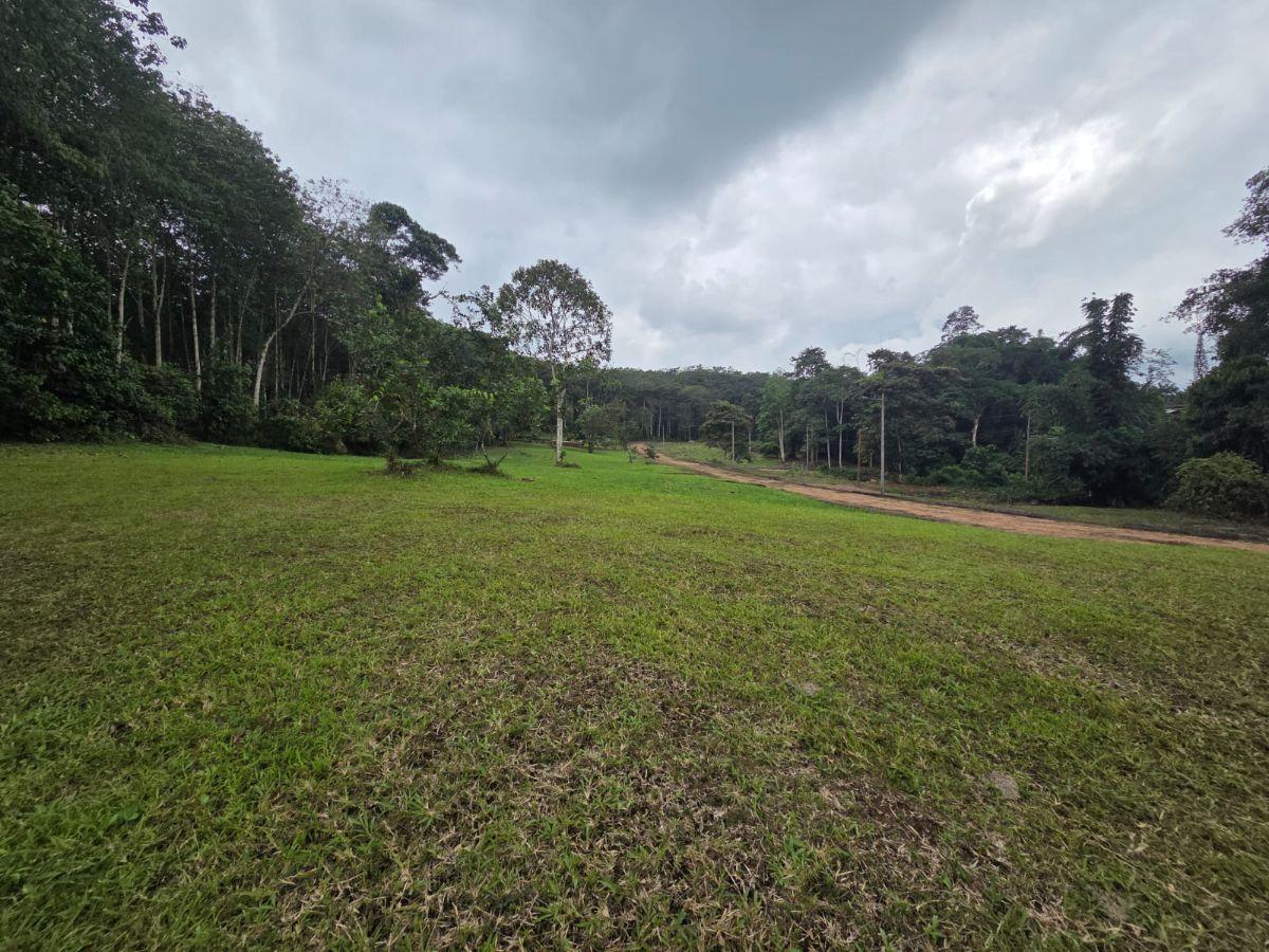 Venta 6 Lotes de Terreno Urb. Las Bromelias — imagen 8