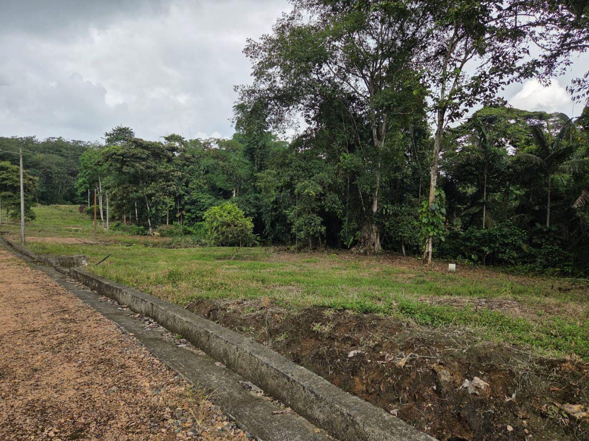 Venta 6 Lotes de Terreno Urb. Las Bromelias — imagen 7
