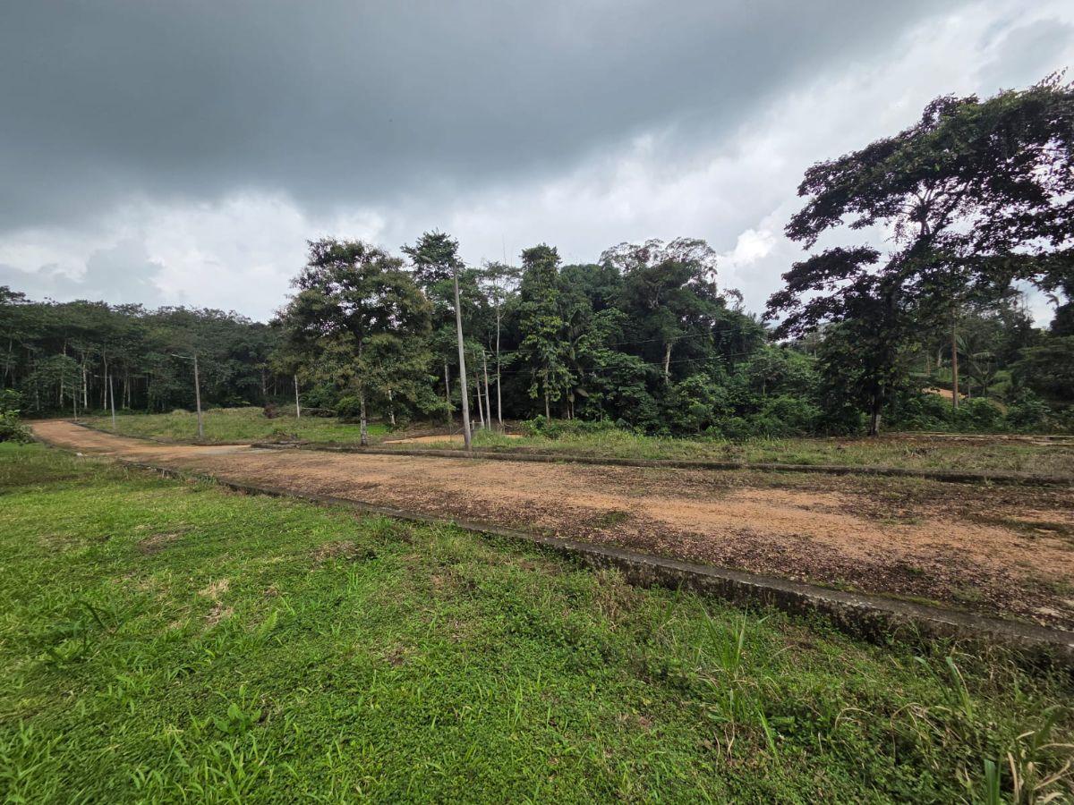 Venta 6 Lotes de Terreno Urb. Las Bromelias — imagen 6