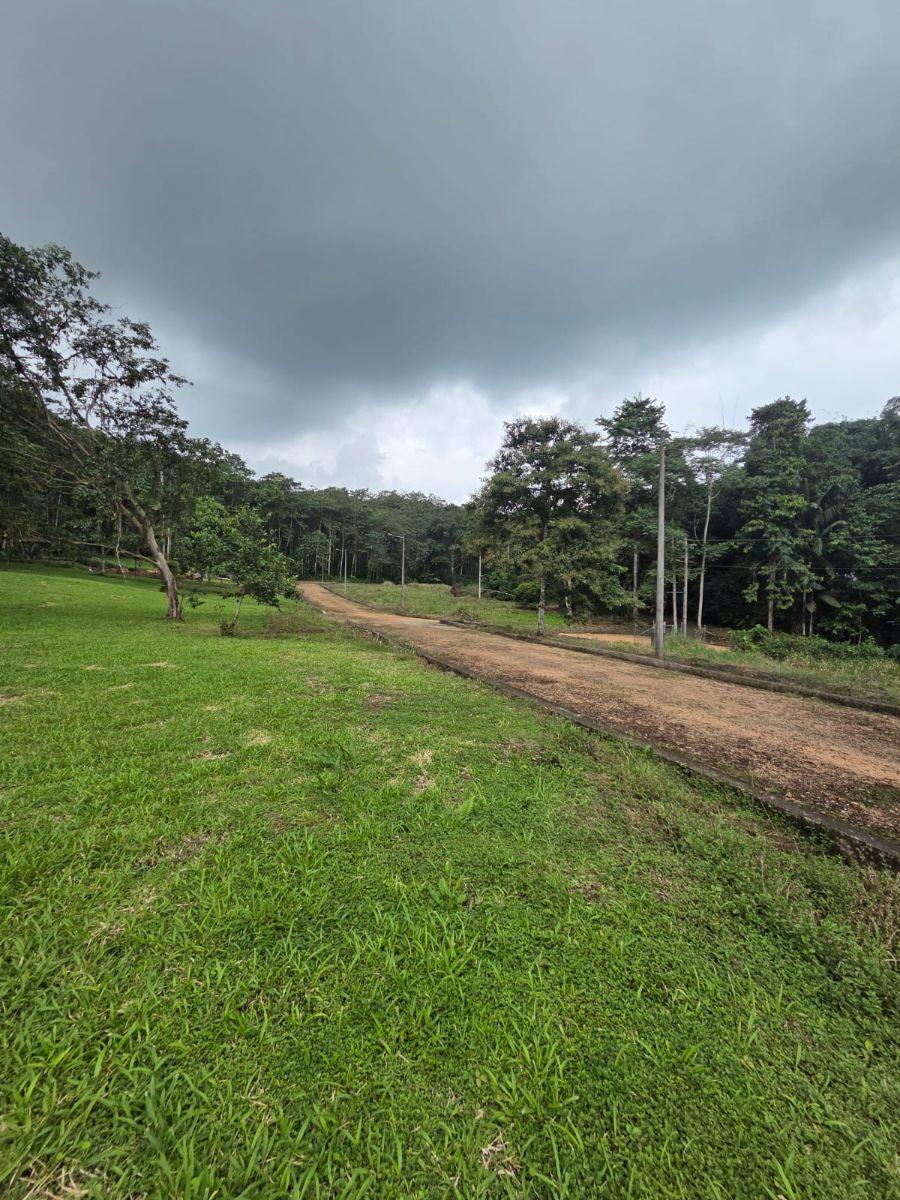 Venta 6 Lotes de Terreno Urb. Las Bromelias — imagen 2