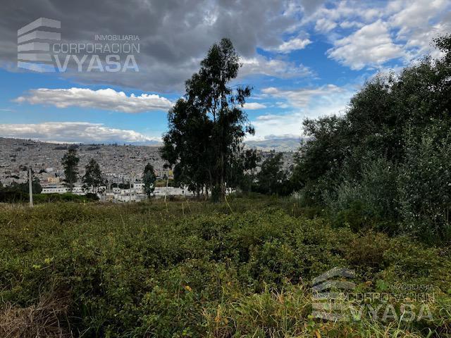 Carcelén Carretas - Camino de Los Eucaliptos, Terreno de 601,84 m² en Venta - Lt No. 4 — imagen 8
