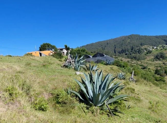 Terreno en venta en La Merced — imagen 1