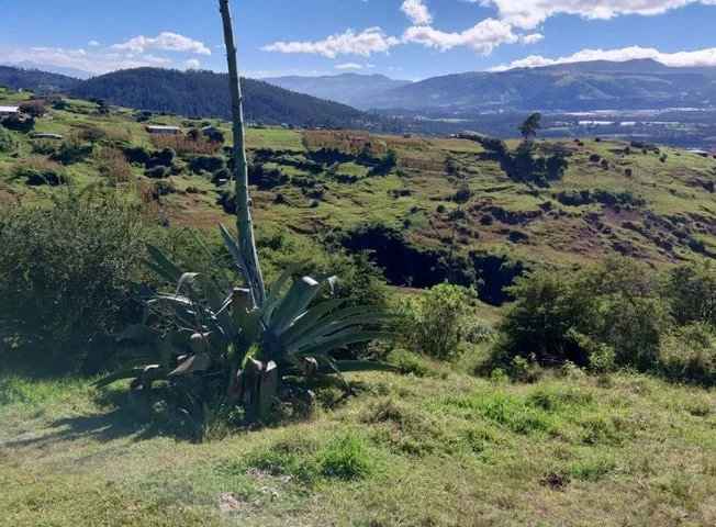 Terreno en venta en La Merced — imagen 3