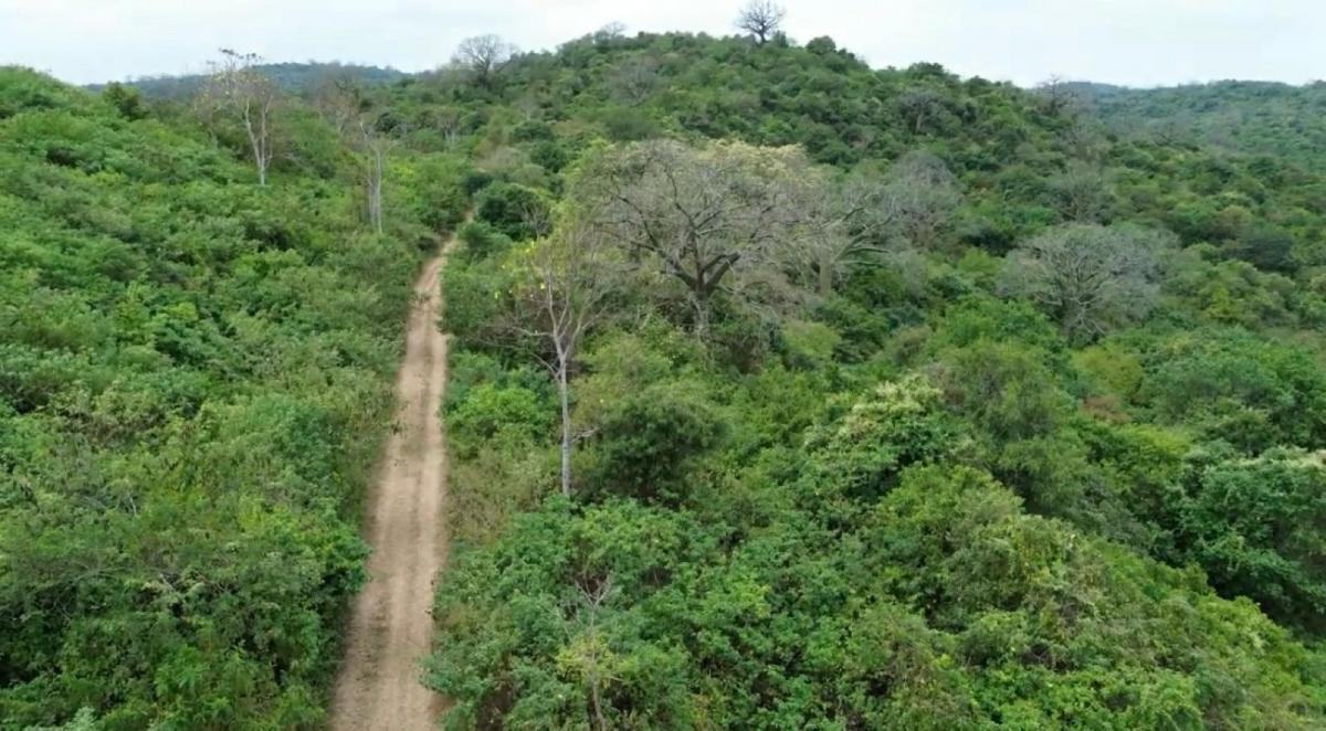 Terreno en Venta en Mamey Bajada Chanduy, Santa Elena, Chrc, Guayas — imagen 10