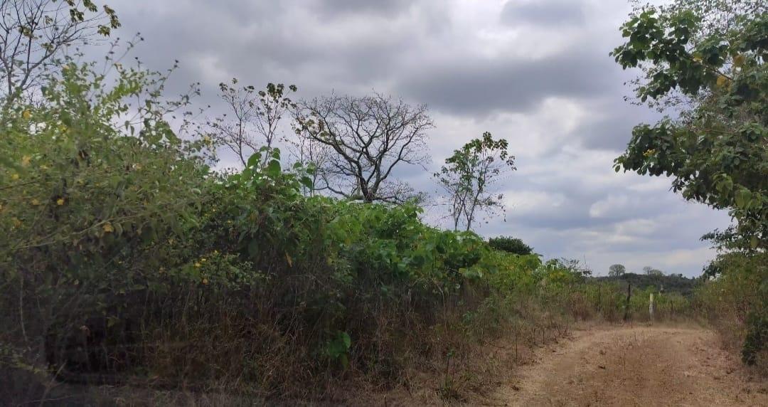 Terreno en Venta en Mamey Bajada Chanduy, Santa Elena, Chrc, Guayas — imagen 7