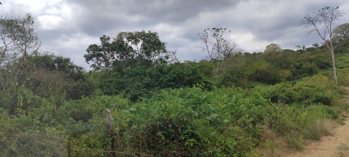 Terreno en Venta en Mamey Bajada Chanduy, Santa Elena, Chrc, Guayas — imagen 6