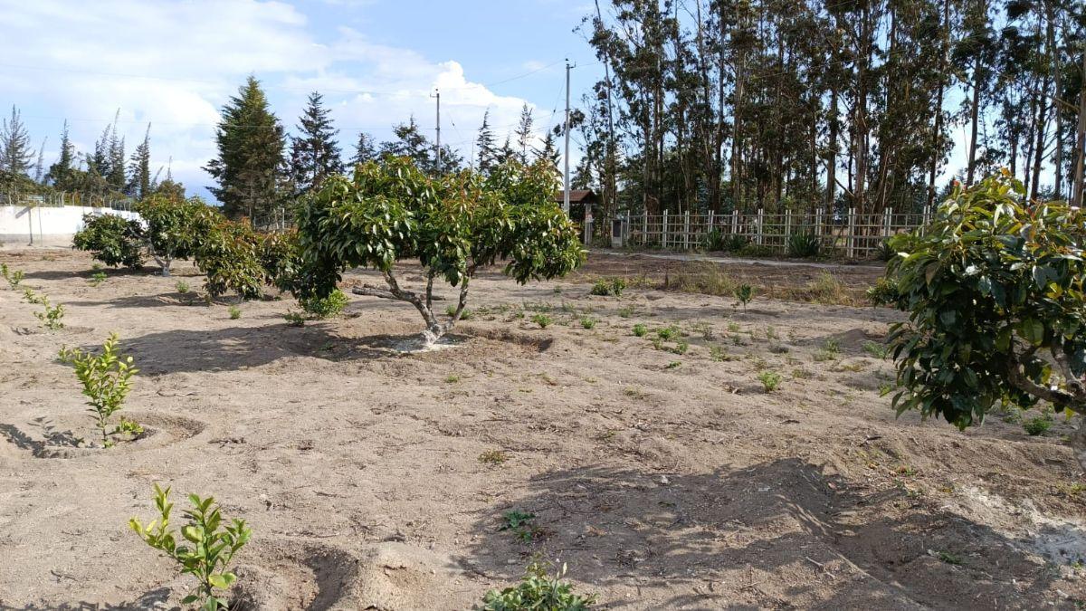 Venta de Terreno Malchingui, San Juan 1000 m² — imagen 9