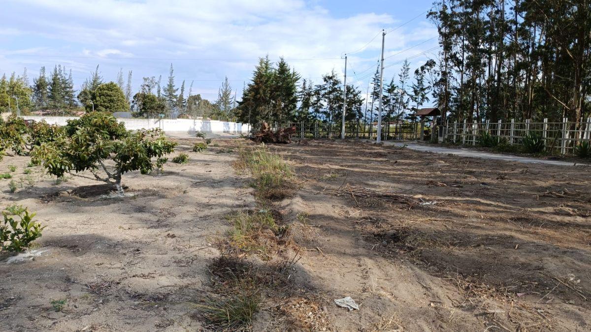 Venta de Terreno Malchingui, San Juan 1000 m² — imagen 8
