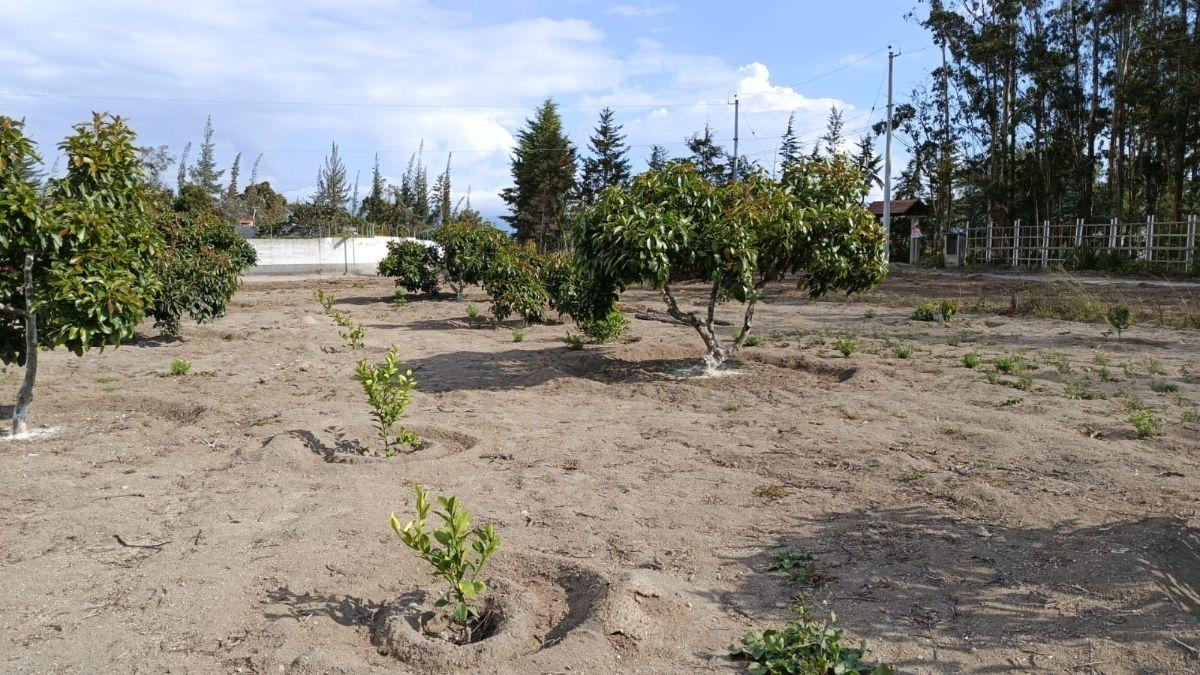 Venta de Terreno Malchingui, San Juan 1000 m² — imagen 7