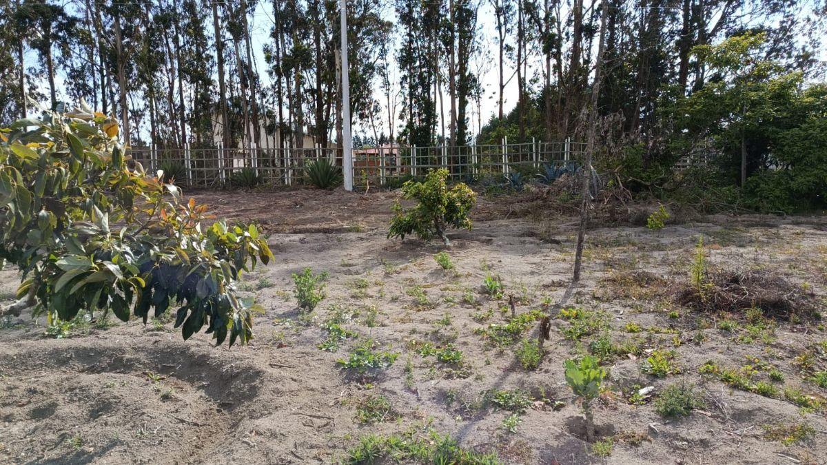 Venta de Terreno Malchingui, San Juan 1000 m² — imagen 6